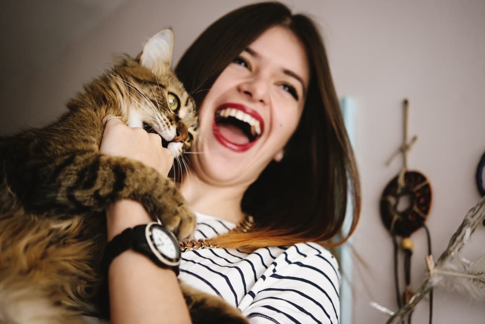 owner laughing with cat hearing different cat puns