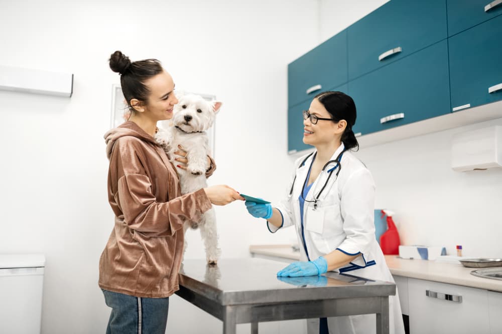 woman getting medical records from veterinarian